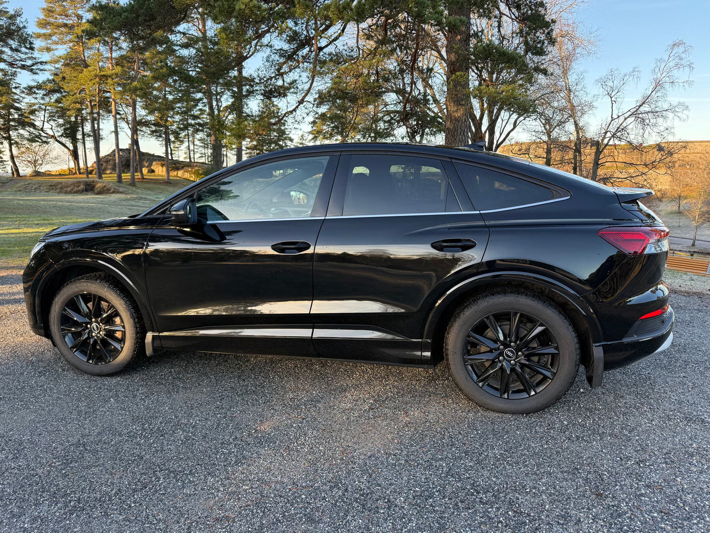 Audi Q4 e-tron Quattro 2022 SUV Électrique Noir Métallisé
