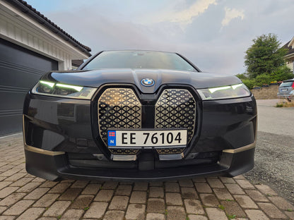 BMW iX xDrive40 SUV Électrique Luxueux 326ch Gris Sophisto